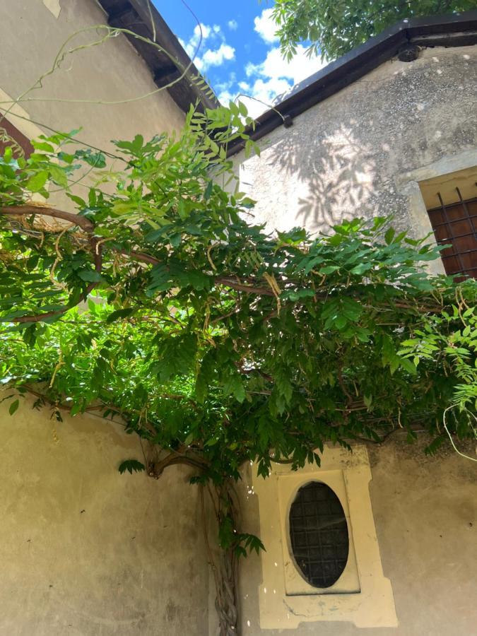Casa Barattini Bed & Breakfast Zocchetta Exterior foto