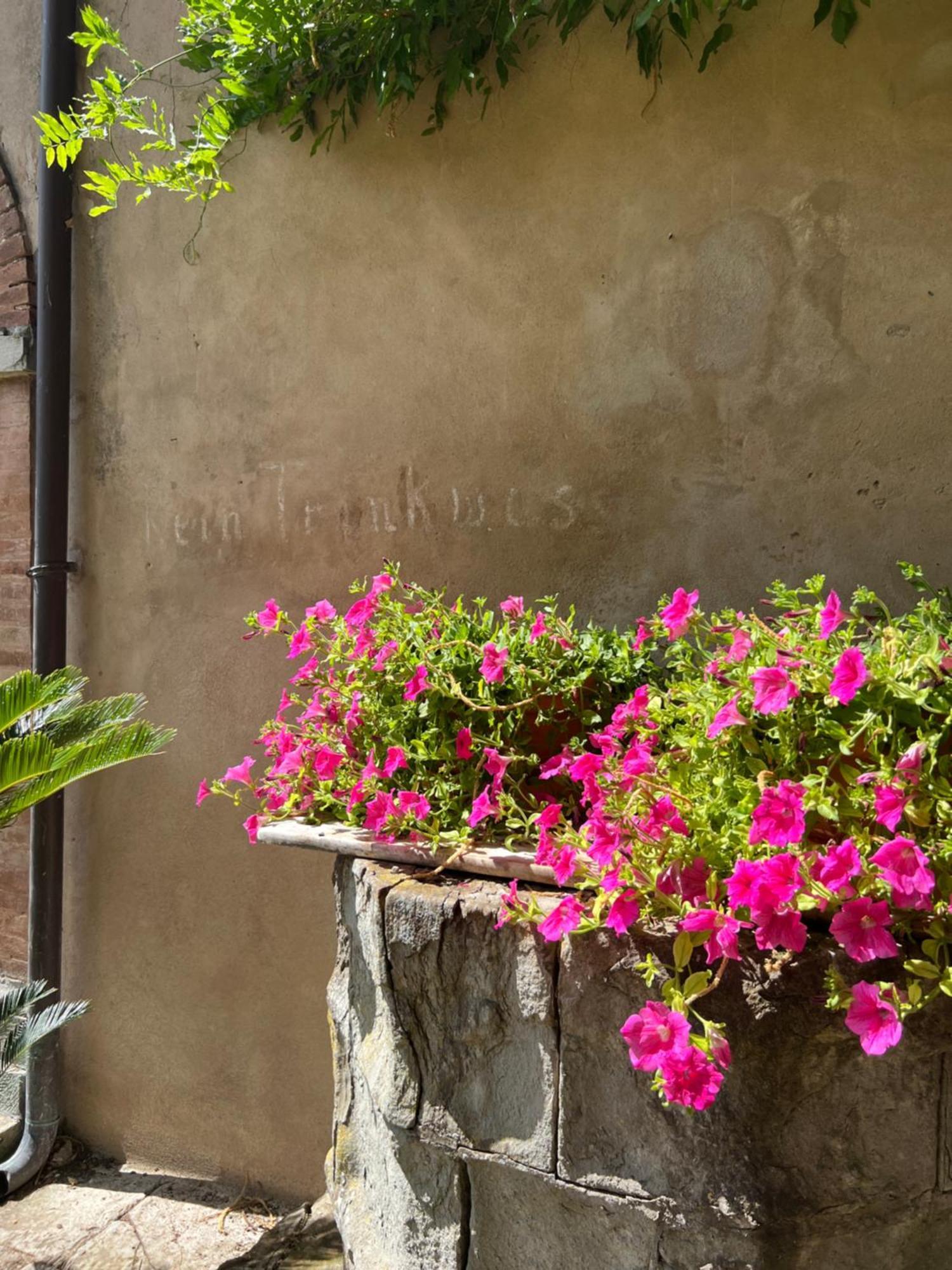 Casa Barattini Bed & Breakfast Zocchetta Exterior foto